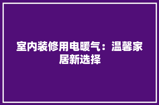 室内装修用电暖气：温馨家居新选择 现代风格装饰