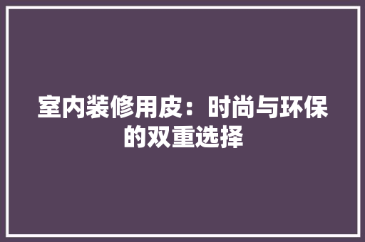 室内装修用皮：时尚与环保的双重选择 现代风格装饰