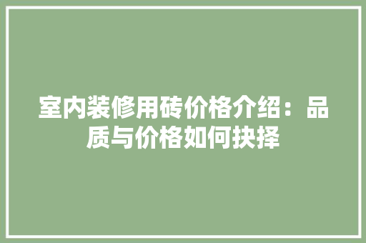 室内装修用砖价格介绍：品质与价格如何抉择 现代风格装饰
