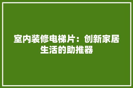 室内装修电梯片：创新家居生活的助推器 现代风格装饰