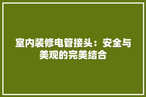 室内装修电管接头：安全与美观的完美结合 现代风格装饰