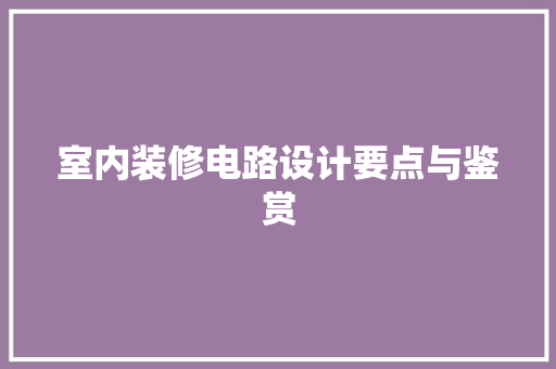 室内装修电路设计要点与鉴赏 现代风格装饰