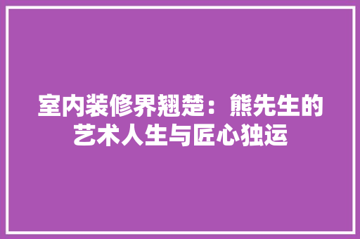室内装修界翘楚：熊先生的艺术人生与匠心独运 现代风格装饰