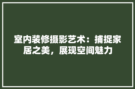 室内装修摄影艺术：捕捉家居之美，展现空间魅力 现代风格装饰