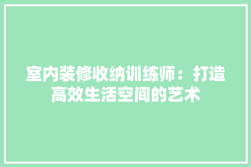 室内装修收纳训练师：打造高效生活空间的艺术 现代风格装饰
