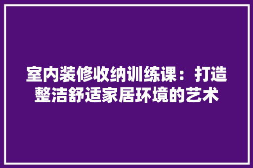 室内装修收纳训练课：打造整洁舒适家居环境的艺术 现代风格装饰
