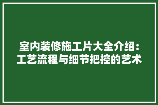 室内装修施工片大全介绍：工艺流程与细节把控的艺术 现代风格装饰