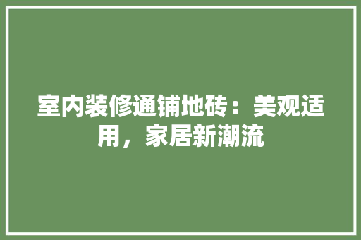 室内装修通铺地砖：美观适用，家居新潮流 现代风格装饰