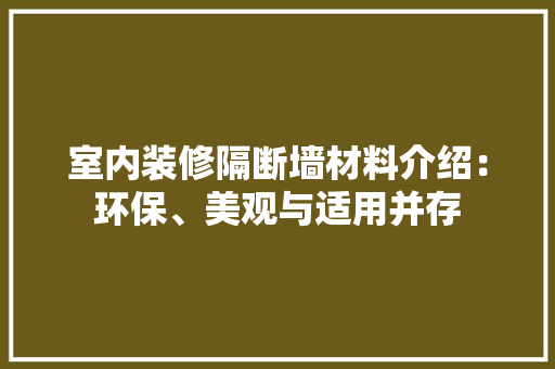 室内装修隔断墙材料介绍：环保、美观与适用并存 现代风格装饰