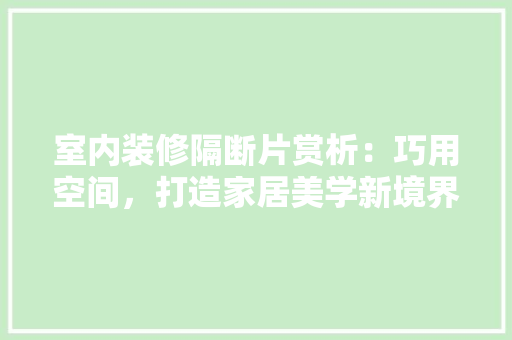 室内装修隔断片赏析：巧用空间，打造家居美学新境界 现代风格装饰