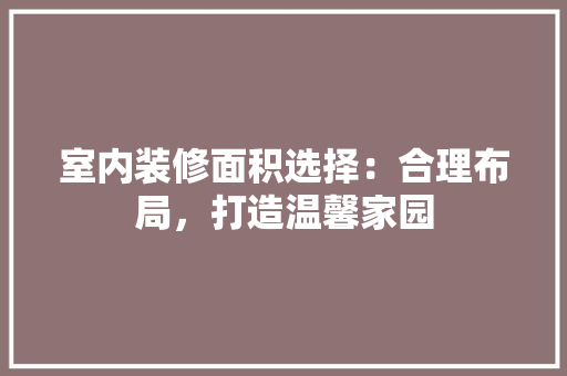室内装修面积选择：合理布局，打造温馨家园 现代风格装饰