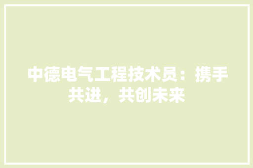 中德电气工程技术员：携手共进，共创未来 家居装修