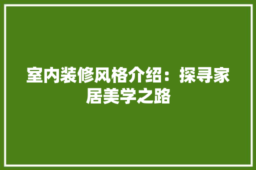 室内装修风格介绍：探寻家居美学之路 现代风格装饰