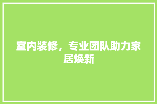 室内装修，专业团队助力家居焕新 现代风格装饰