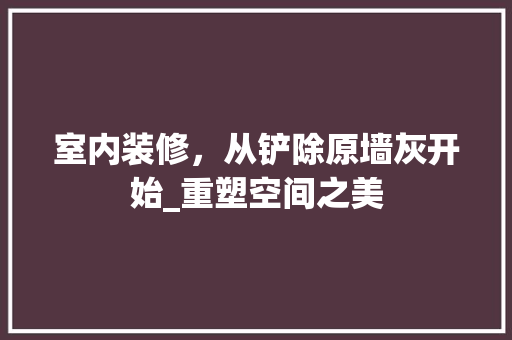 室内装修，从铲除原墙灰开始_重塑空间之美 现代风格装饰