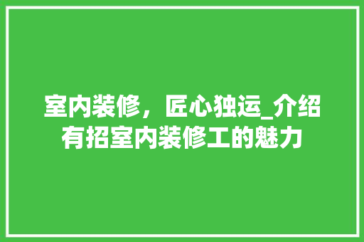 室内装修，匠心独运_介绍有招室内装修工的魅力 现代风格装饰