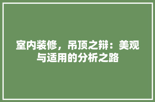 室内装修，吊顶之辩：美观与适用的分析之路 现代风格装饰