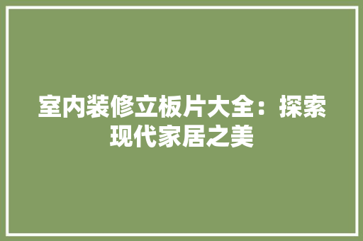 室内装修立板片大全：探索现代家居之美 现代风格装饰