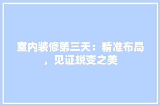 室内装修第三天：精准布局，见证蜕变之美 现代风格装饰