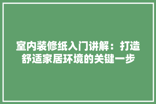 室内装修纸入门讲解：打造舒适家居环境的关键一步 现代风格装饰