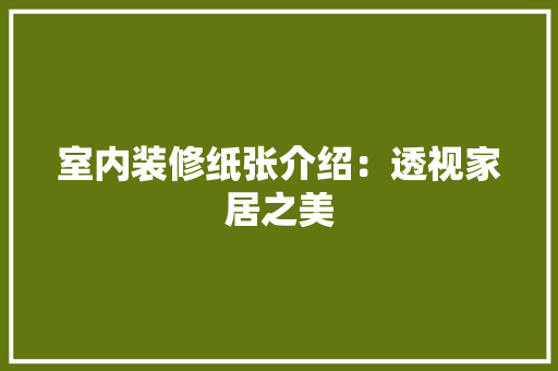 室内装修纸张介绍：透视家居之美 现代风格装饰
