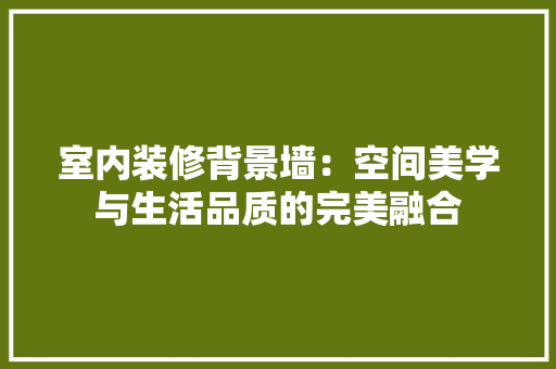 室内装修背景墙：空间美学与生活品质的完美融合 现代风格装饰