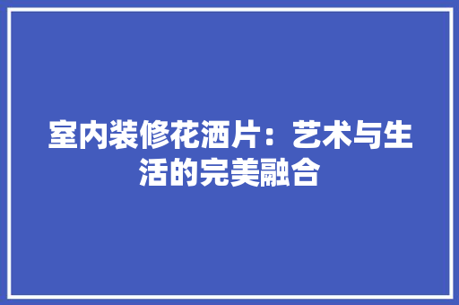 室内装修花洒片：艺术与生活的完美融合