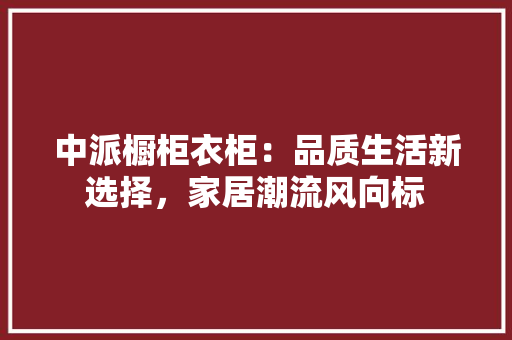 中派橱柜衣柜：品质生活新选择，家居潮流风向标 家居装修