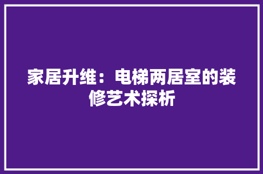 家居升维：电梯两居室的装修艺术探析 现代风格装饰