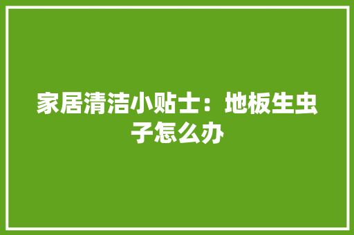 家居清洁小贴士：地板生虫子怎么办 现代风格装饰