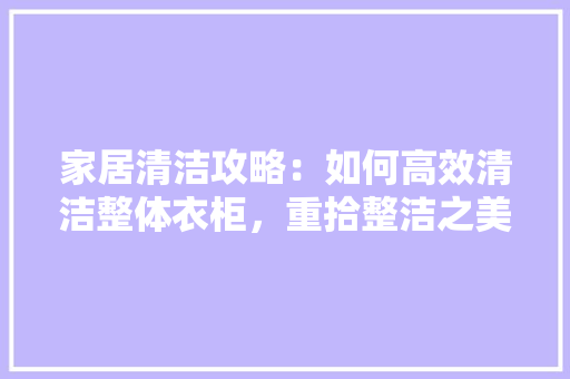 家居清洁攻略：如何高效清洁整体衣柜，重拾整洁之美 现代风格装饰