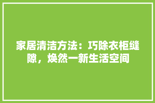 家居清洁方法：巧除衣柜缝隙，焕然一新生活空间 现代风格装饰