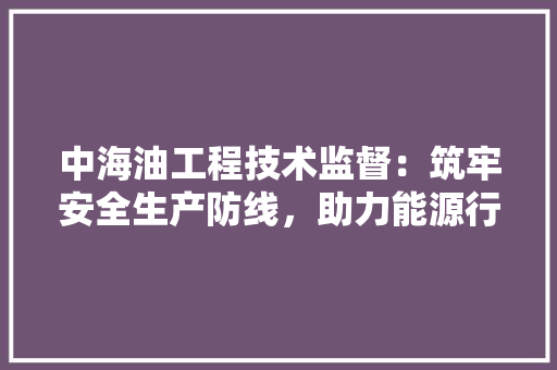中海油工程技术监督：筑牢安全生产防线，助力能源行业高质量发展 家居装修