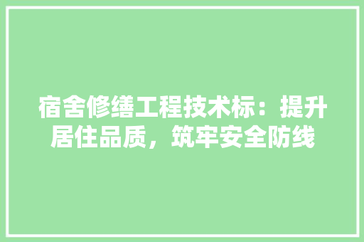 宿舍修缮工程技术标：提升居住品质，筑牢安全防线 现代风格装饰
