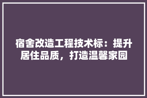 宿舍改造工程技术标：提升居住品质，打造温馨家园 现代风格装饰