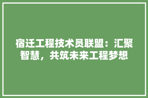 宿迁工程技术员联盟：汇聚智慧，共筑未来工程梦想 现代风格装饰
