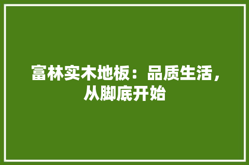 富林实木地板：品质生活，从脚底开始 现代风格装饰