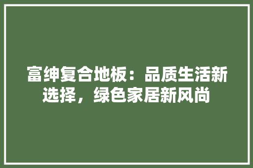 富绅复合地板：品质生活新选择，绿色家居新风尚 现代风格装饰