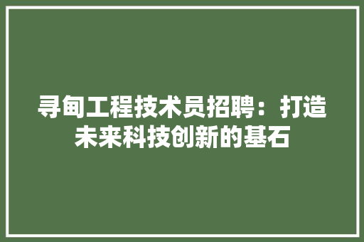 寻甸工程技术员招聘：打造未来科技创新的基石 现代风格装饰
