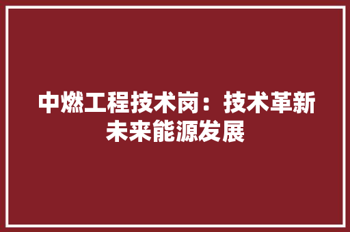 中燃工程技术岗：技术革新未来能源发展 家居装修