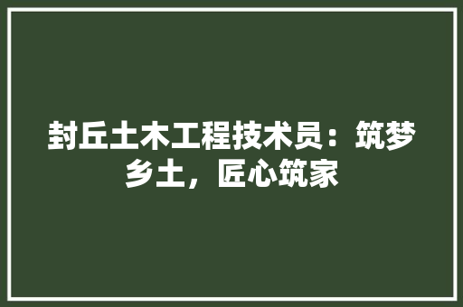 封丘土木工程技术员：筑梦乡土，匠心筑家 现代风格装饰