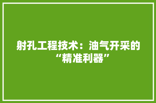 射孔工程技术：油气开采的“精准利器” 现代风格装饰