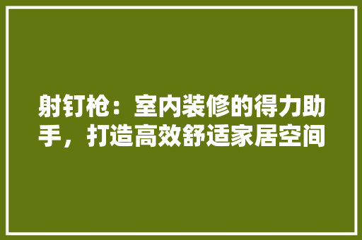 射钉枪：室内装修的得力助手，打造高效舒适家居空间 现代风格装饰