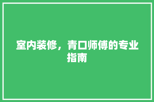 室内装修，青口师傅的专业指南 现代风格装饰