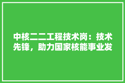 中核二二工程技术岗：技术先锋，助力国家核能事业发展 家居装修