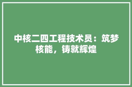 中核二四工程技术员：筑梦核能，铸就辉煌 家居装修
