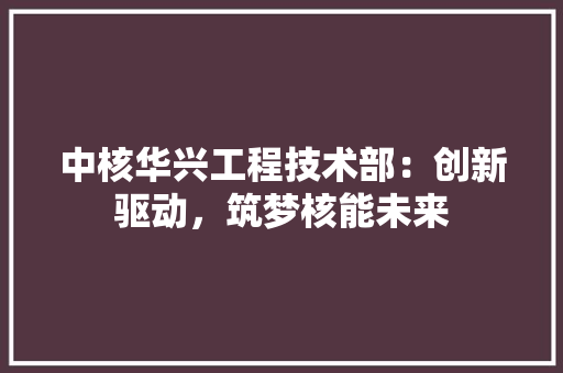 中核华兴工程技术部：创新驱动，筑梦核能未来 家居装修
