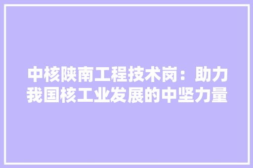 中核陕南工程技术岗：助力我国核工业发展的中坚力量 家居装修