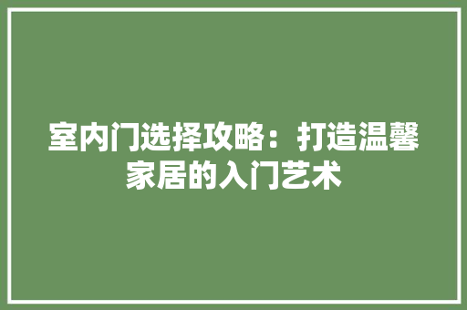 室内门选择攻略：打造温馨家居的入门艺术 现代风格装饰