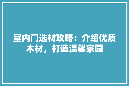 室内门选材攻略：介绍优质木材，打造温馨家园 现代风格装饰